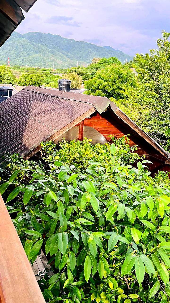 Finca / Cabaña · Opción 24
