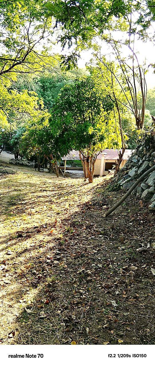 Lote campestre · Opción 51