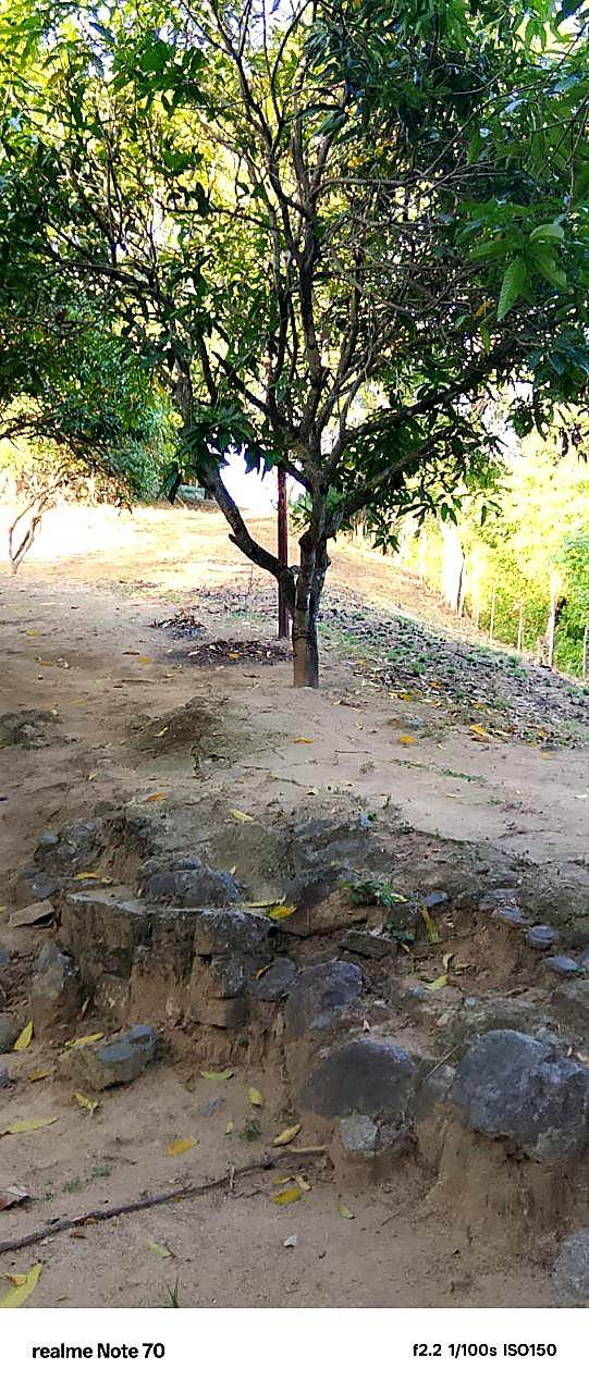 Lote campestre · Opción 55