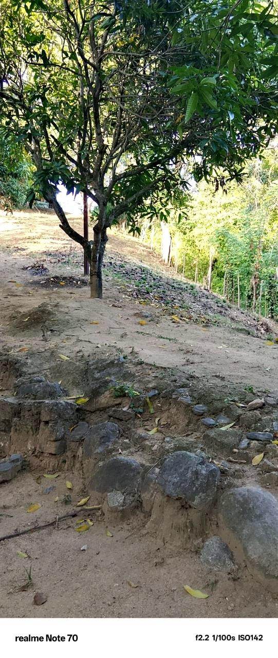 Lote campestre · Opción 48