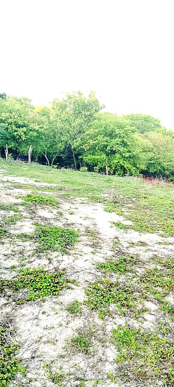 Lote campestre · Opción 35