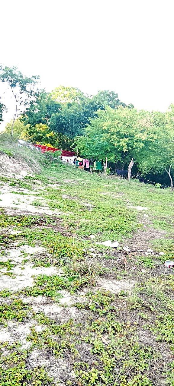 Lote campestre · Opción 36