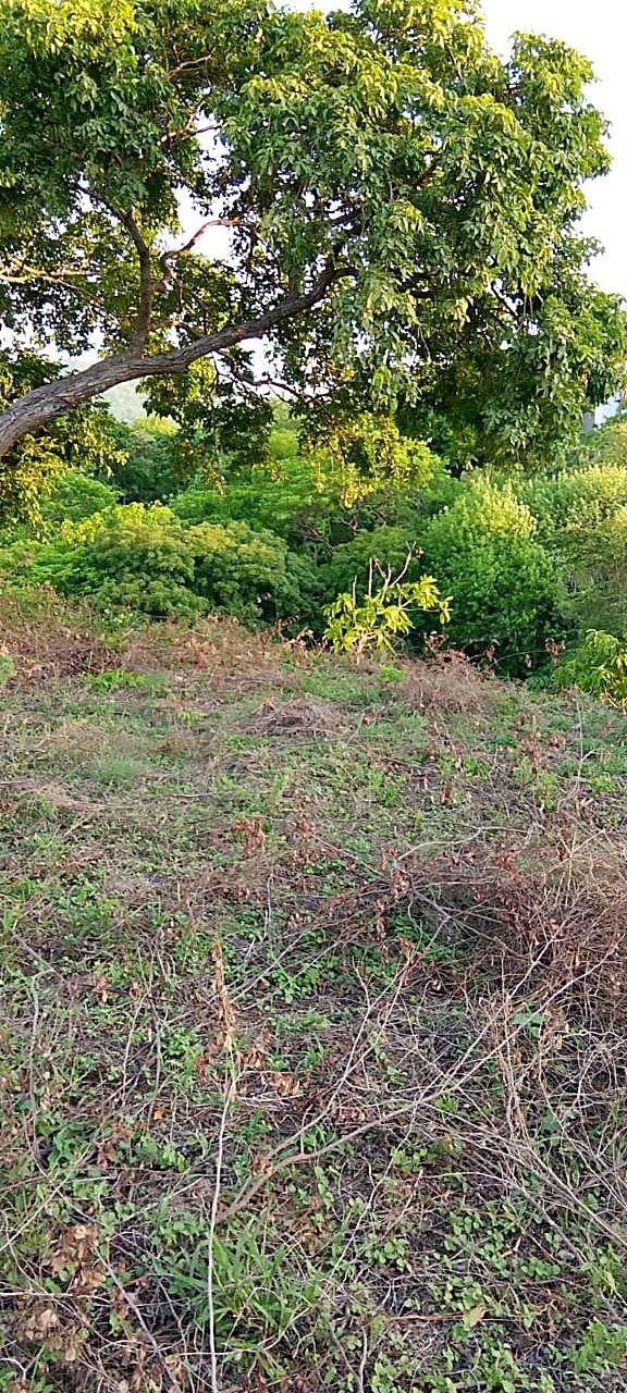 Lote campestre · Opción 37