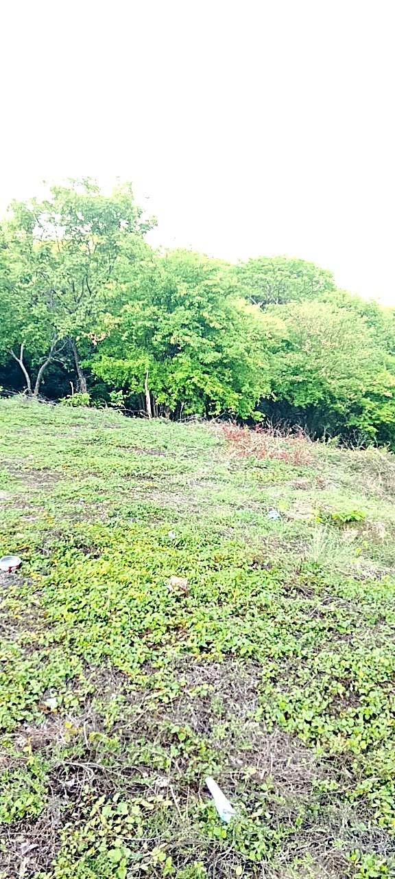 Lote campestre · Opción 33
